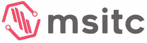 logo - mstic